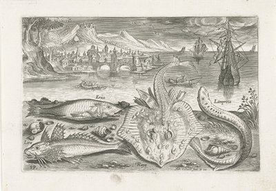Cuatro peces en la playa Pesca (título de la serie) Iconos de Piscium vivae (título de la serie) de Adriaen Collaert