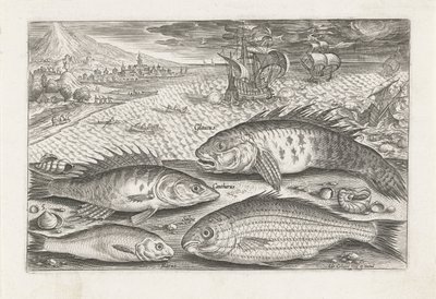 Cuatro peces en la playa Pesca (título de la serie) Iconos de Piscium vivae (título de la serie) de Adriaen Collaert