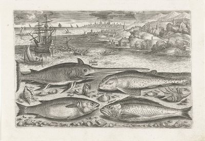 Cuatro peces en la playa Pesca (título de la serie) Iconos de Piscium vivae (título de la serie) de Adriaen Collaert