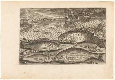Cuatro peces en la playa
Fish (título de la serie)
Piscivm vivae icones (título de la serie) de Adriaen Collaert