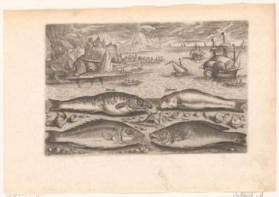 Cuatro peces en la playa
Fish (título de la serie)
Piscivm vivae icones (título de la serie) de Adriaen Collaert