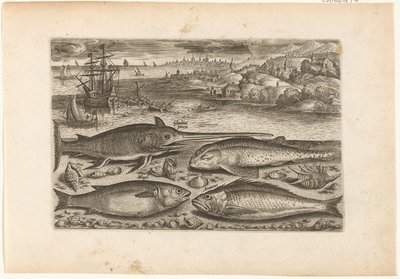 Cuatro peces en la playa
Fish (título de la serie)
Piscivm vivae icones (título de la serie) de Adriaen Collaert