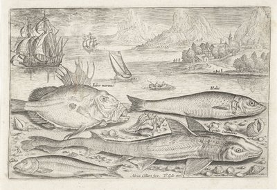 Cuatro peces en la playa
Fish (título de la serie)
Piscivm vivae icones (título de la serie) de Adriaen Collaert