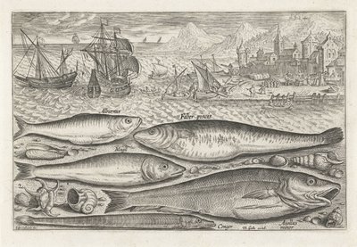 cinco peces en la playa Pesca (título de la serie) Iconos de Piscium vivae (título de la serie) de Adriaen Collaert