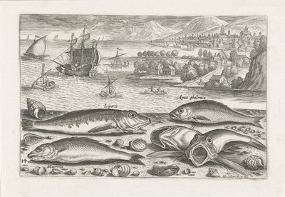 cinco peces en la playa Pesca (título de la serie) Iconos de Piscium vivae (título de la serie) de Adriaen Collaert
