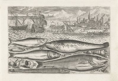 cinco peces en la playa Pesca (título de la serie) Iconos de Piscium vivae (título de la serie) de Adriaen Collaert