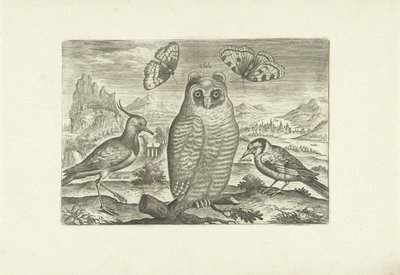 Aves y mariposas en un paisaje. Pájaros (título de la serie) Avium vivae (título de la serie) de Adriaen Collaert