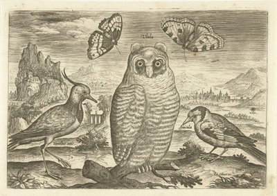 Aves y mariposas en un paisaje. Pájaros (título de la serie) Avium vivae (título de la serie) de Adriaen Collaert