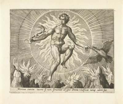 Fuegos artificiales Los cuatro elementos (título de la serie) de Adriaen Collaert