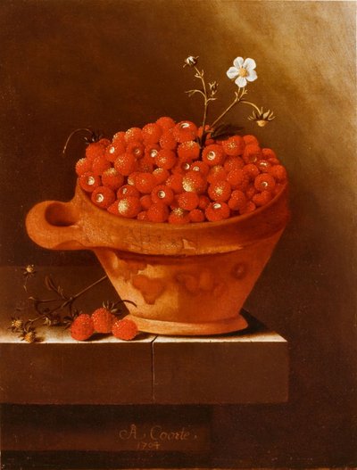 Cuenco de barro con fresas sobre zócalo de piedra de Adrian Coorte