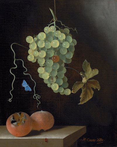 Naturaleza muerta con un racimo de uvas colgante, dos nísperos y una mariposa de Adrian Coorte