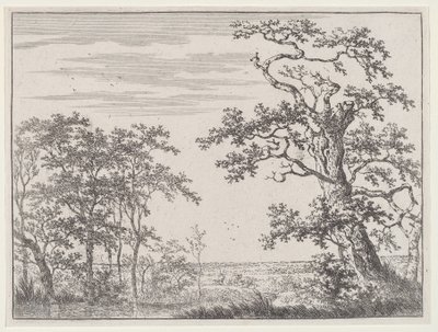Paisaje con un arroyo y un árbol antiguo de Adriaen Hendricks Verboom