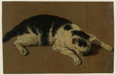 Gato tumbado con la cabeza entre las patas delanteras de Adriaen van de Velde (attributed to)