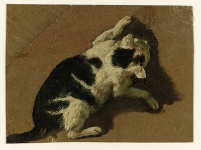 Gato jugando cerca de una pared de Adriaen van de Velde (attributed to)