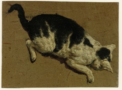 Gato mirando hacia abajo desde una elevación de Adriaen van de Velde (attributed to)
