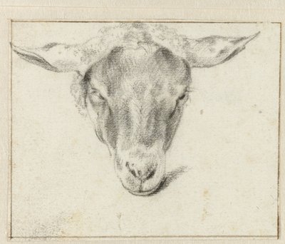 Cabeza de oveja, de frente de Adriaen van de Velde (attributed to)
