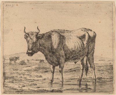 Toro de pie en el agua de Adriaen van de Velde