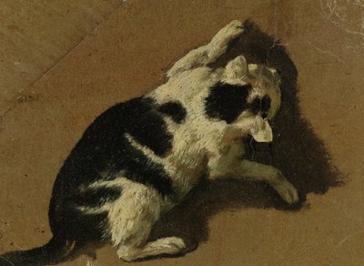 Gato jugando de Adriaen van de Velde