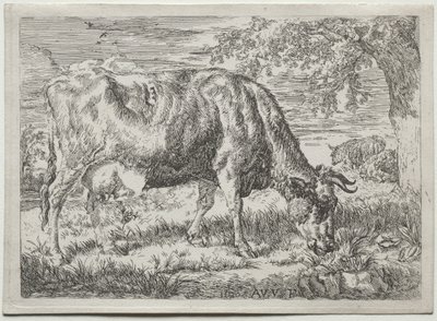 Vaca y dos ovejas al pie de un árbol de Adriaen van de Velde