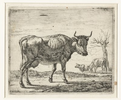 tres vacas Diferentes animales (título de la serie) de Adriaen van de Velde