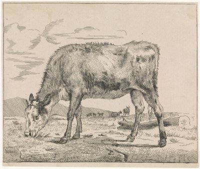 Ternero pastando Ganadería (título de la serie) de Adriaen van de Velde