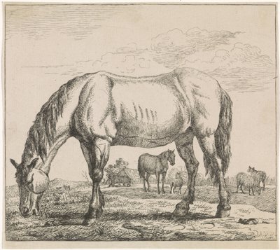 caballo pastando Ganadería (título de la serie) de Adriaen van de Velde