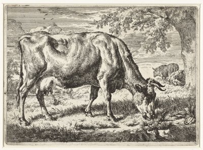 Vaca pastando y dos ovejas Vacas y ovejas (título de la serie) de Adriaen van de Velde