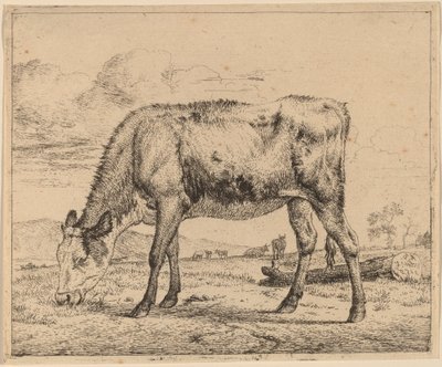 Ternero pastando de Adriaen van de Velde