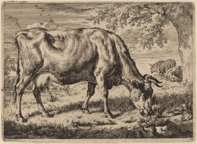 Vaca Pastando con Dos Ovejas de Adriaen van de Velde