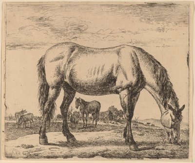 Caballo pastando de Adriaen van de Velde