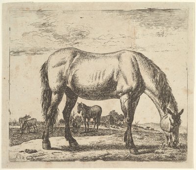 Caballo pastando, de Animales Diferentes de Adriaen van de Velde