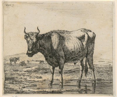 Toro de pie en el agua, lámina 6 de la serie «Animales diversos» de Adriaen van de Velde
