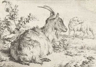Cabra acostada, 1670 de Adriaen van de Velde