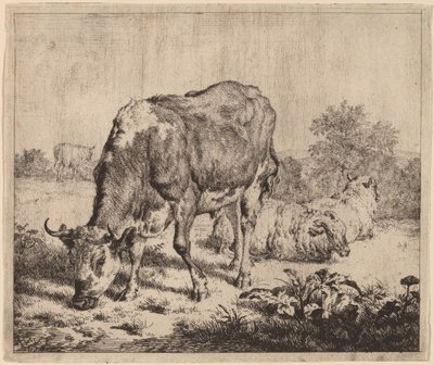 Toro manchado y tres ovejas de Adriaen van de Velde