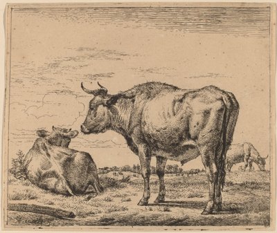 Toro de pie de Adriaen van de Velde