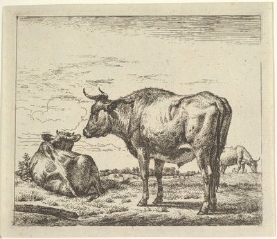 Toro de pie, de Diferentes Animales de Adriaen van de Velde