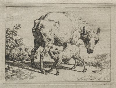 La oveja y dos corderos, 1670 de Adriaen van de Velde