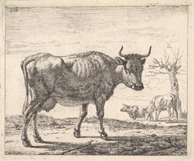 Tres vacas de Adriaen van de Velde