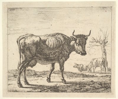 Tres vacas, de Animales diferentes de Adriaen van de Velde