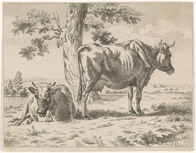 Dos vacas junto a un árbol (título de la serie) Vaca pastando junto a un árbol y dos ovejas de Adriaen van de Velde