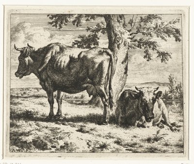 Dos vacas debajo de un árbol Vacas y ovejas (título de la serie) de Adriaen van de Velde