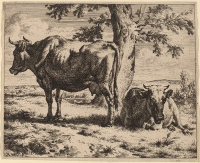 Dos vacas bajo un árbol de Adriaen van de Velde