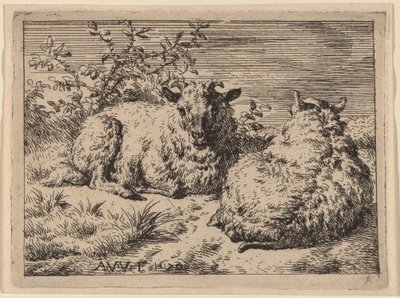 Dos ovejas recostadas de Adriaen van de Velde