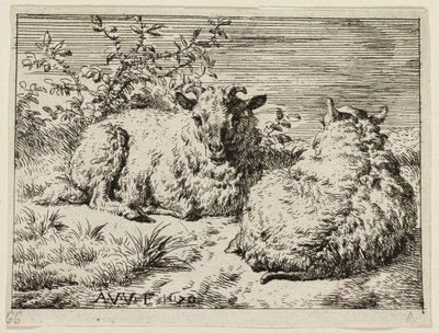 Dos ovejas de Adriaen van de Velde