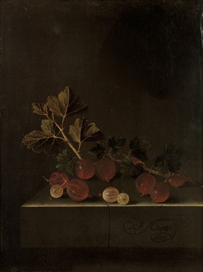Una ramita de grosellas en un pedestal de piedra, 1699 de Adrian Coorte