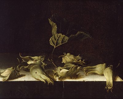 Naturaleza muerta con avellanas, 1696 de Adrian Coorte