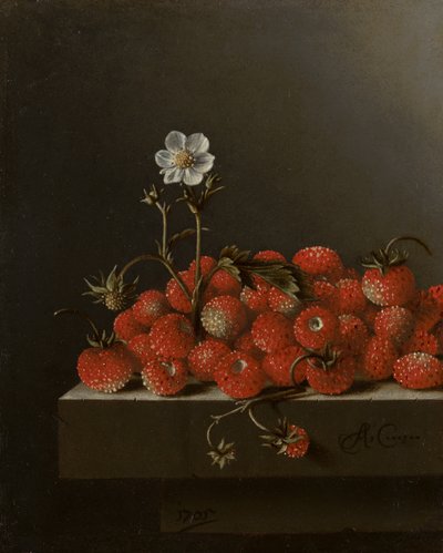 Bodegón con fresas silvestres, 1705 de Adrian Coorte