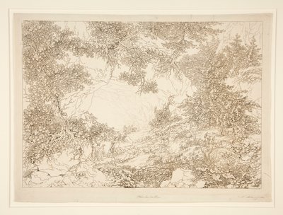 Paisaje de Adrian Zingg