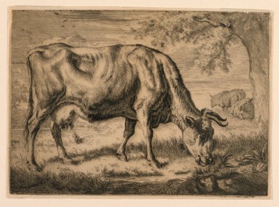 Vaca y dos ovejas al pie de un árbol de Adrian van de Velde