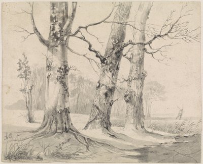 Paisaje de invierno de Adrianus Eversen